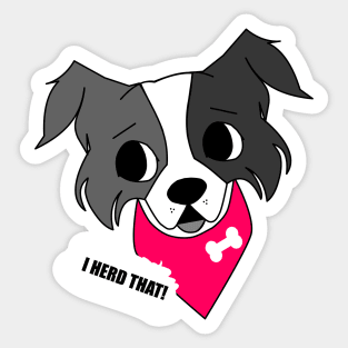 I herd that! - Border Collie funny sheepdog with bandana Sticker